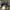 Adidas superstar slip on photo 1
