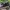 Adidas superstar slip on photo 2