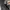 Adidas superstar slip on photo 4