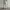 00’s White Reguler Jeans  photo 1