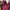 bebe jacket not ori bludru zipper burgunduy pita velvet photo 3