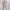 Zara Ruched Dress photo 1