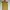 Sole Mio dress 2 pieces photo 3