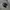Vans authentic full black photo 2