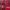 Sportswear Jersey Pria Red
