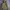 Timberland Gorpcore Sportswear Windbreaker Pria tan brown photo 1