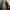 Timberland Gorpcore Sportswear Windbreaker Pria tan brown photo 3