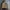 Timberland Gorpcore Sportswear Windbreaker Pria tan brown photo 4