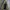 Timberland Gorpcore Sportswear Windbreaker Pria Tan Brown