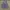 rocawear baggy jorst carpenter photo 1