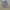 rocawear baggy jorst carpenter photo 4