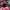 Sportswear Jersey Pria Red