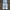 silvertab baggy jeans vintage  photo 1