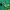 Pancoat Beo Parrot Hoodie Green Animal Art photo 2