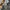 Rare item vintage baggy akademiks y2k wide leg photo 5