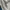Baggy jeans long pants ecko carpenter y2k big pocket doublev photo 4