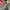 Baggy jeans long pants ecko carpenter y2k big pocket doublev photo 3