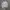 CREWNECK INDILUXE MULTY POCKET SIZE M photo 1