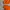 HOODIE NOAH HALLELUJAH ORANGE photo 7