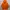 HOODIE NOAH HALLELUJAH ORANGE photo 1