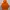 HOODIE NOAH HALLELUJAH ORANGE