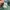 Hill House Katherine Dress in Emerald Space Floral photo 6
