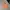 Who zipper orange photo 1