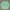 Vintage 00's Converse All Star Green Striped Halfzip Shirt photo 1