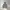 Hoodie Dickies photo 1