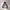 Hoodie Dickies  photo 2