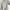 WORK JACKET DISELL  CANVAS TEBEL photo 10
