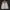 VEST CAMO - TECHINAL EXPERT photo 5