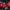 Adidas jersey MU Home 2018/2019 photo 2