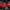 Adidas Jersey MU Home 2018/2019