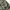 Rivalley Y2K Windbreaker Pria green tan brown black photo 4