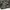 Rivalley Y2K Windbreaker Pria green tan brown black photo 3