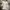blouse outer milkmaid fairy lace white photo 1
