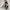 TNF Goretex - VTG 1999 The North Face Mountain jkt photo 4