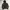 NIKE ESSENTIAL | JACKET RUNNING photo 1
