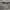 OAKLEY FLAK JACKET 12-904J photo 7