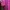 dannis tunik pink fusia s photo 4