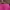 Dannis Tunik Pink Fusia S