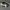 Oakley Visor Hats photo 4