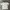 Yves Saint Laurent YSL Luxury Minimalist Polo shirt Pria white photo 2