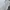 Yves Saint Laurent YSL Luxury Minimalist Polo shirt Pria white photo 8