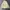 Yves Saint Laurent YSL Luxury Minimalist Casual shirt Pria yellow photo 3