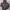 ADIDAS Hanorace Adicolor Classics Suede photo 6