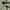 Gramicci pants olive green photo 3