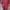 Unkong Retro 🇯🇵 Oriental Buckle Clasp Shirt (Crimson) photo 8