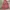 Casual Summer dress Wanita multicolor photo 2